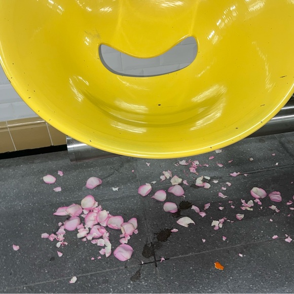 Meet your Posher, Anne-marie - Picture 1 of 1